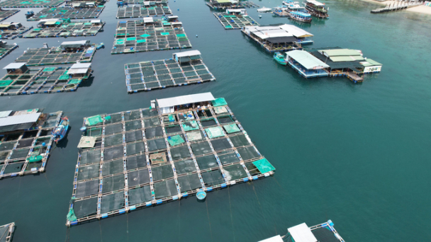 ‘Địa phương cần khẩn trương thực hiện giao khu vực biển’