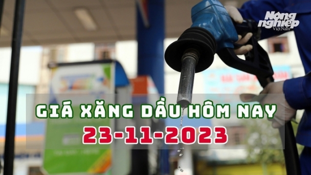 Giá xăng dầu hôm nay 23/11: Xăng và dầu đồng loạt giảm