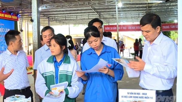 Đi xuất khẩu lao động nhờ nghề nông, trở về làm giàu cũng bằng nghề nông