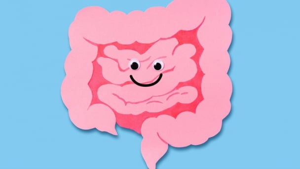 Bạn có biết ruột và não tuy hai mà một?