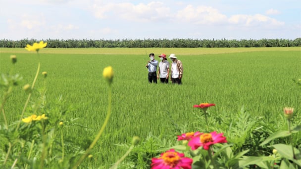 Phát triển 'nông nghiệp xanh' cần sự thay đổi nhận thức của cộng đồng