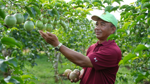 Chống chanh leo giả bằng QR Code