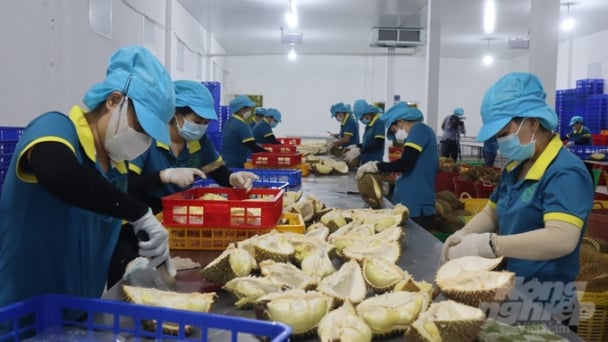 Xuất khẩu rau quả cả năm đạt gần 5,6 tỷ USD
