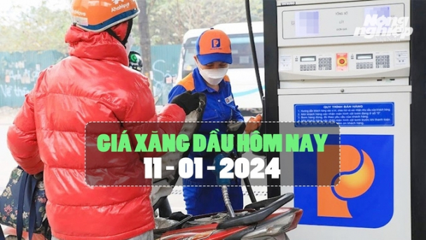 Giá xăng dầu hôm nay 11/1: Đồng loạt tăng nhẹ