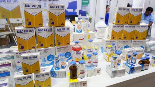 AVAC tặng 10.000 liều vacxin dịch tả lợn Châu Phi cho Rumani
