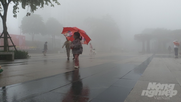 Hà Nội sẽ có sương mù đến ngày 5/2