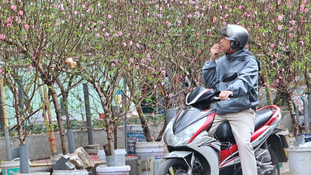 Hoa Tết đại hạ giá, xả hàng vẫn ít người mua