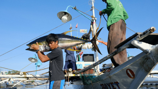 Gỡ 'thẻ vàng' IUU: Kinh nghiệm thế giới