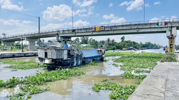 Bạc Liêu chủ động điều tiết mặn - ngọt