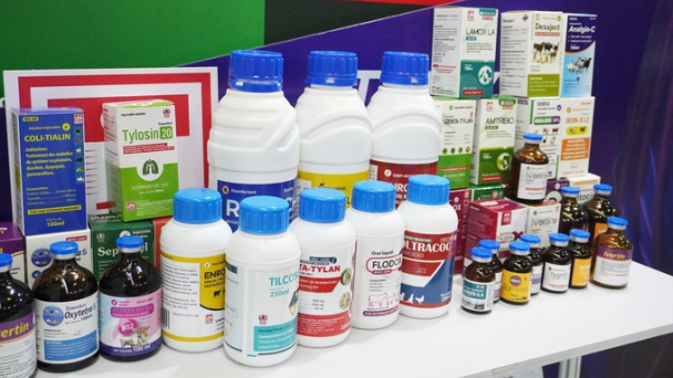 Chính phủ yêu cầu xem xét kiến nghị bỏ thủ tục hợp quy thuốc thú y