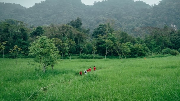 Let the power of words inspire action for nature's protection
