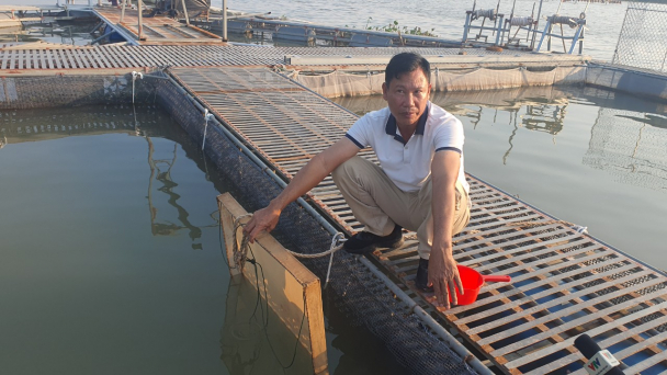 Đưa cá tầm về vùng nước lợ