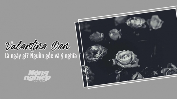 Valentine đen là gì? Có nguồn gốc và ý nghĩa ra sao?