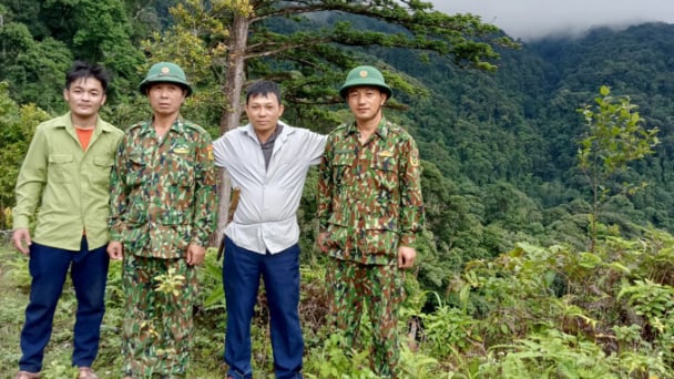 Nghệ An thực hiện tốt Chương trình phát triển lâm nghiệp bền vững