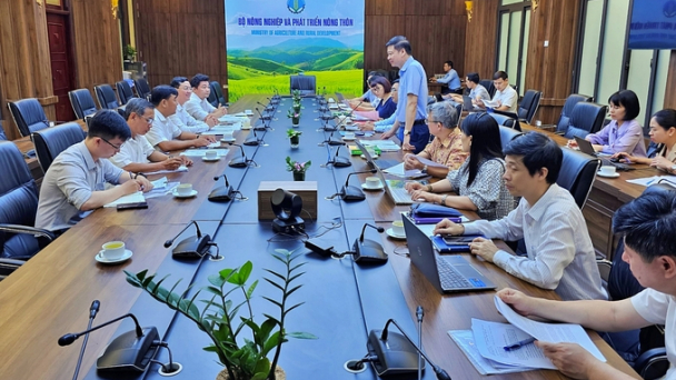 Ưu tiên chuyển đổi đất cho đơn vị có thể bố trí trồng rừng thay thế