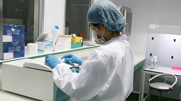 Từ khống chế thành công bệnh viêm khớp Mycoplasma Synoviae (MS) đến vacxin công nghệ Vaxxitek