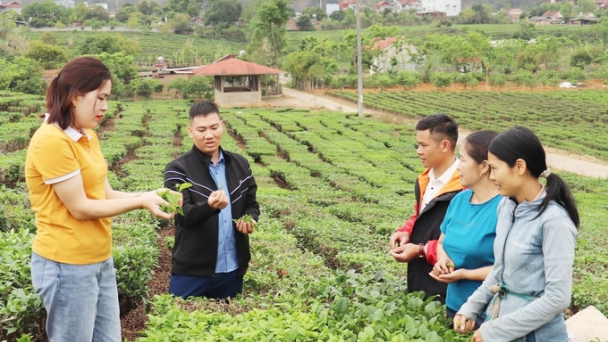 Tổng điều tra nông nghiệp, nông thôn bắt đầu từ 1/7/2025