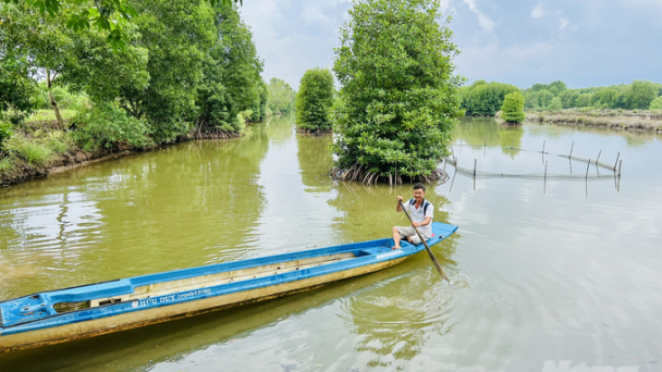 Mô hình nuôi thủy sản dưới rừng ngặp mặn bền vững