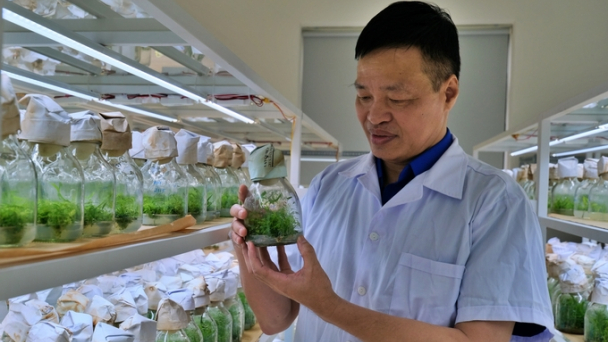 Khoa học bén rễ tới đâu, chuyển giao cho người dân tới đó