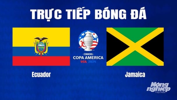 Trực tiếp Ecuador vs Jamaica tại Copa America trên K+ SPORT 1 hôm nay 27/6/2024