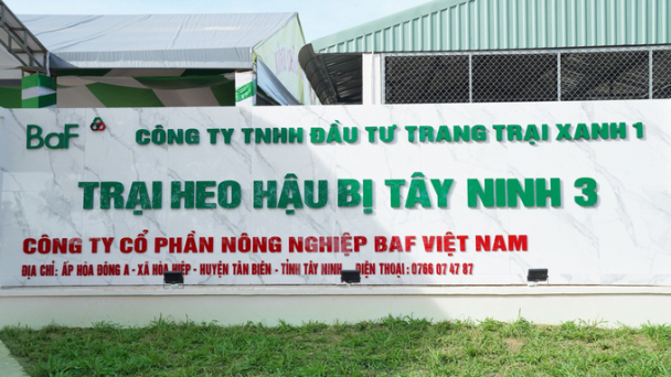 Phạt Công ty Cổ phần Nông nghiệp BAF Việt Nam hơn 240 triệu đồng