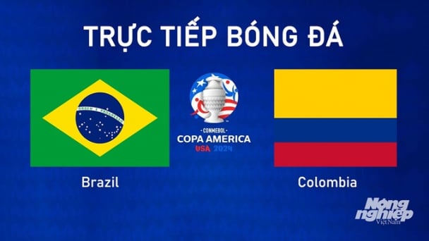 Trực tiếp Brazil vs Colombia tại Copa America trên K+ SPORT 1 hôm nay 3/7/2024