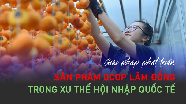 Giải pháp phát triển sản phẩm OCOP Lâm Đồng trong xu thế hội nhập quốc tế