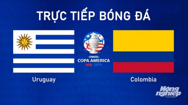 Trực tiếp Uruguay vs Colombia tại Copa America trên K+ SPORT 1 hôm nay 11/7/2024