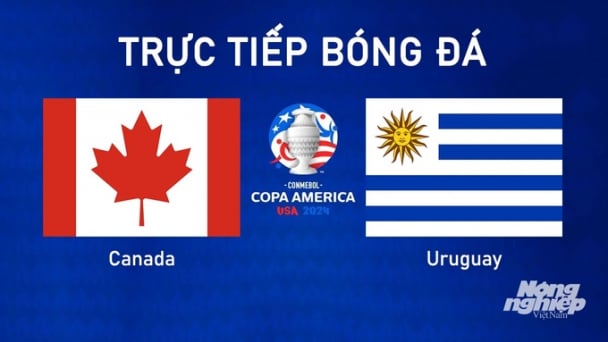 Trực tiếp Canada vs Uruguay tại Copa America trên K+ SPORT 1 hôm nay 14/7/2024