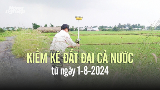 Từ ngày 1/8, tiến hành kiểm tra đất đai toàn quốc