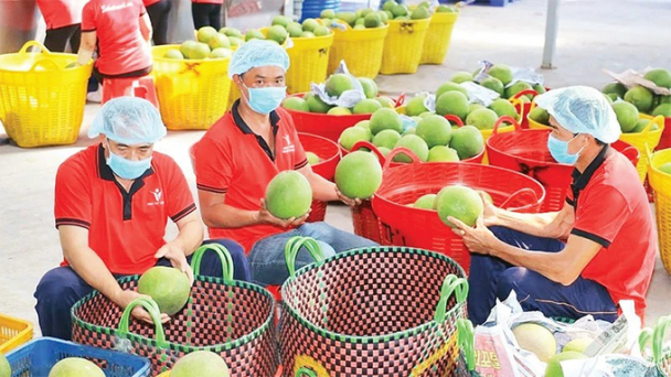 7 tháng đầu năm, kim ngạch xuất khẩu hàng hóa cả nước tăng 15,7%