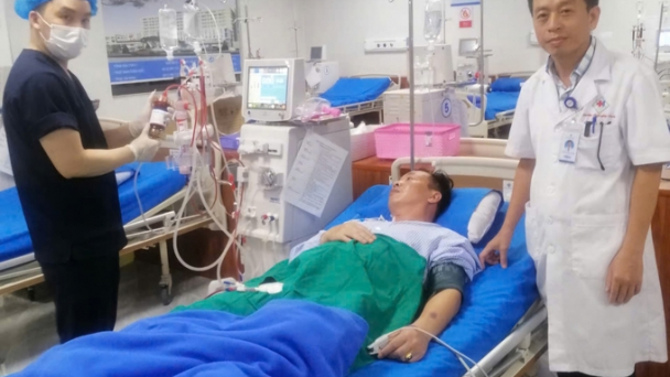 Cấp cứu thành công bệnh nhân bị ong vò vẽ đốt 31 mũi