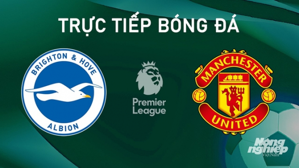 Trực tiếp Brighton vs Man United giải Ngoại hạng Anh trên K+ SPORT 1 ngày 24/8/2024