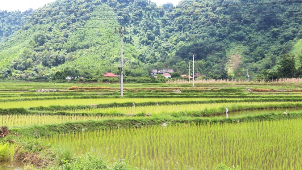 Thái Nguyên sáp nhập 93 xóm, tổ dân phố