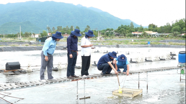 Hệ thống NAFI - 30 năm đồng hành đảm bảo chất lượng nông sản Việt