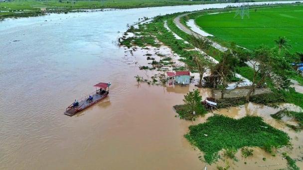 Báo động III trên sông Thái Bình