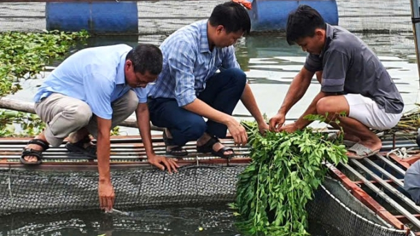 Thái Nguyên: Hệ thống ao hồ nuôi thủy sản khôi phục an toàn sau mưa lũ