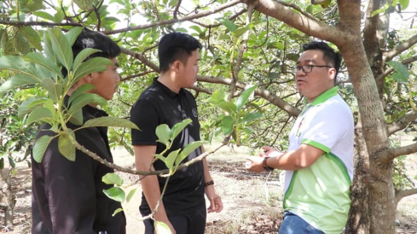 Người trẻ tiên phong chuyển đổi số trong nông nghiệp