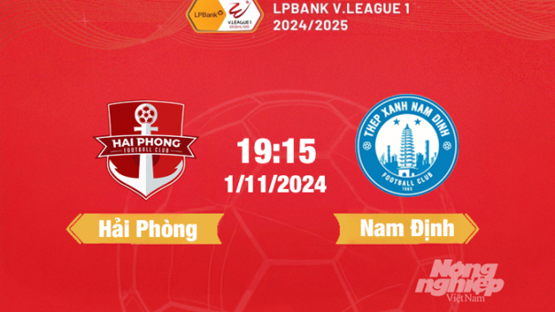 FPTPlay Trực tiếp bóng đá Hải Phòng vs Nam Định, 19h15 hôm nay 1/11/2024