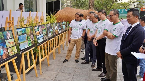 Triển lãm đa dạng sinh học trên phố đi bộ Hồ Gươm