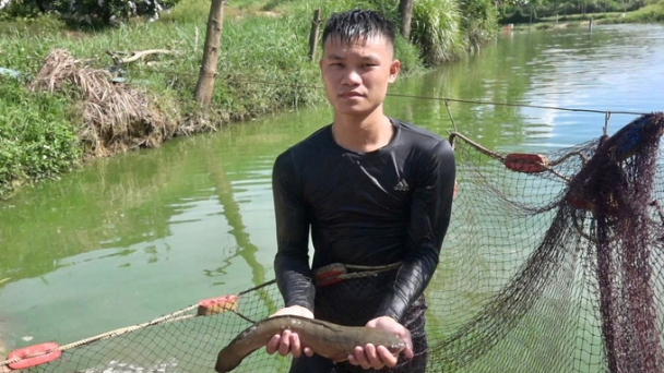 Nuôi cá lóc từ nước sạch khe núi, mỗi năm thu lợi cả tỷ đồng