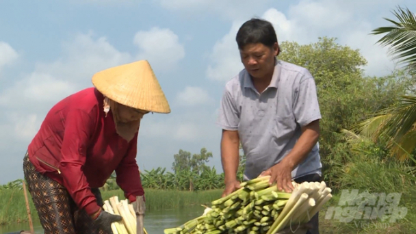 Cà Mau mở rộng thị trường cho sản phẩm OCOP