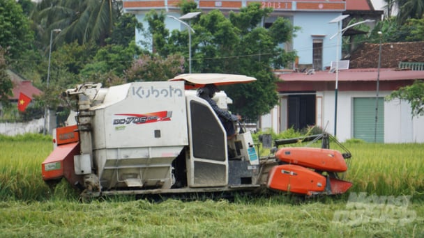 Liên kết sản xuất lúa, chia sẻ lợi ích, hạn chế rủi ro