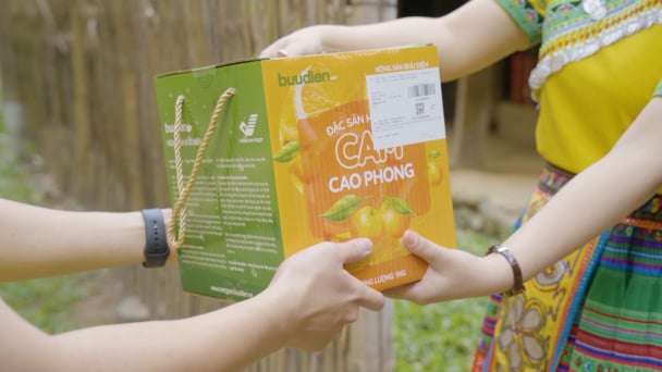 Multi-channel, multi-directional Vietnamese agricultural markets: [6] Agri products go online