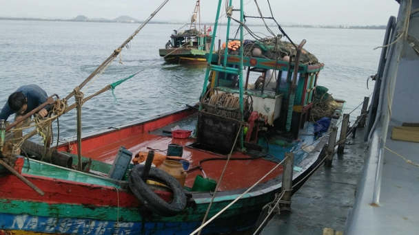 Nghệ An tiến dài trong chống khai thác thủy sản bất hợp pháp