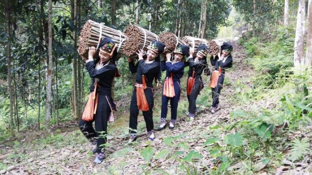 Hàng nghìn hộ dân hưởng lợi khi chuyển dịch sản xuất theo hướng xanh