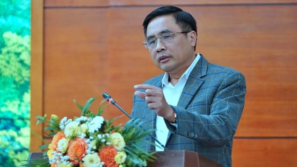 Khung pháp lý vững chắc tạo kỳ tích cho ngành lâm nghiệp