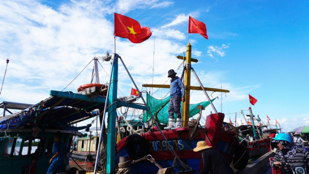 Bám biển xuyên Tết khai thác vụ cá Bắc