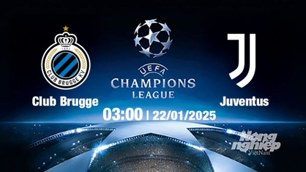 Trực tiếp bóng đá Club Brugge vs Juventus, Cúp C1 Châu Âu, 03h00 ngày 22/1/2025