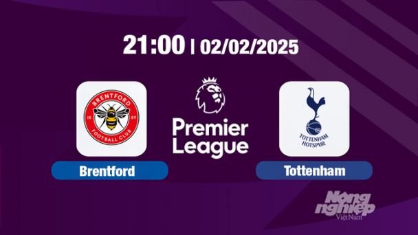 Trực tiếp bóng đá Brentford vs Tottenham, Ngoại hạng Anh, 21h00 hôm nay 2/2/2025